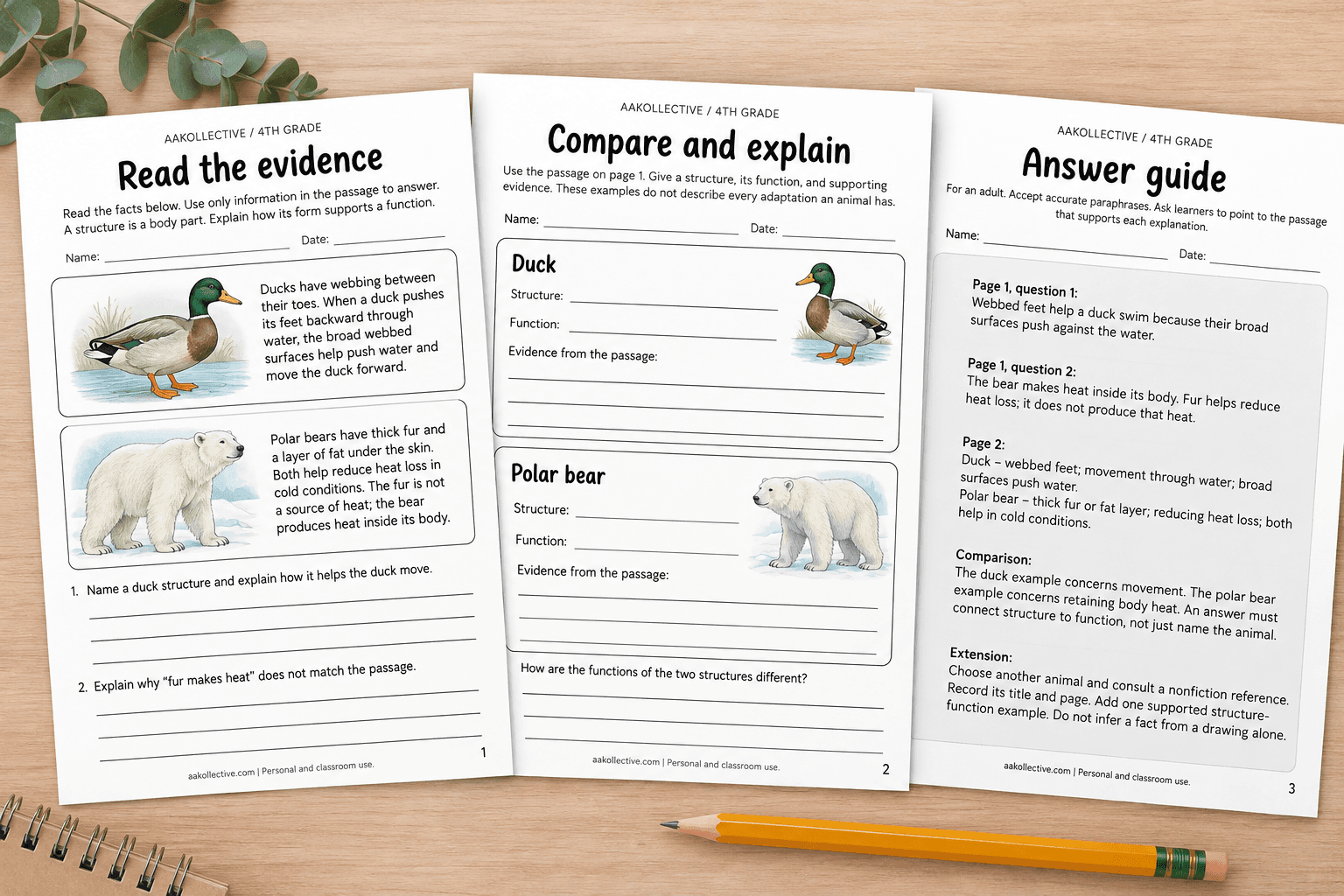 4th Grade Animal Structures & Functions Worksheets | Science Reading & Evidence Practice