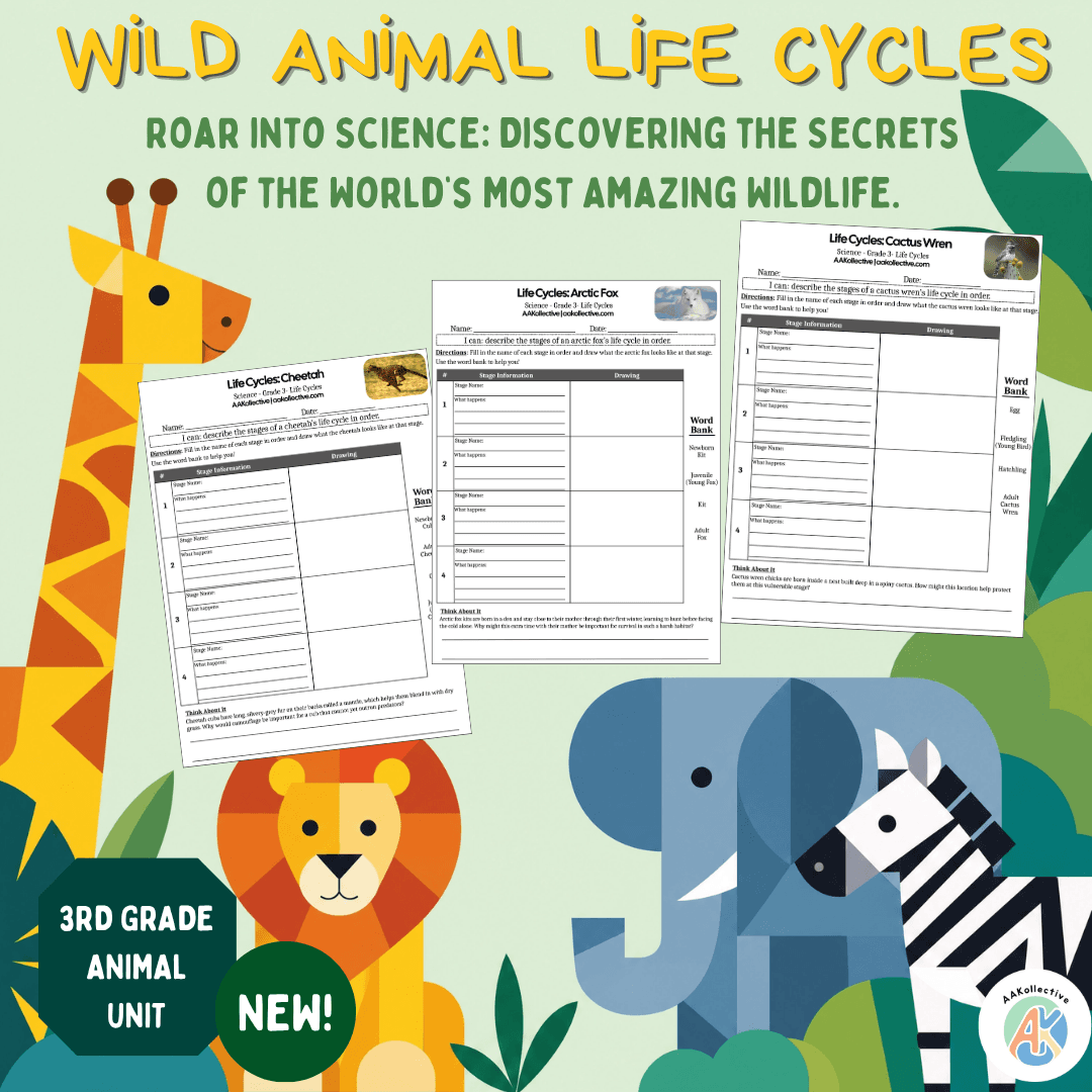 Wild Animal Life Cycles: 3rd Grade Science Activity Bundle preview